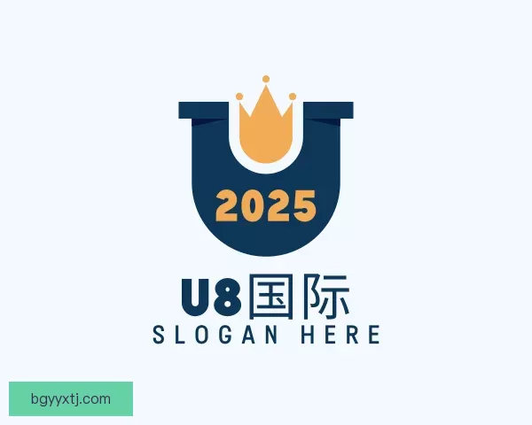 关于U8国际